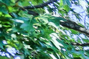 Income Restricted Housing in Gettysburg, PA | Breckenridge Village Apartments | Property Management, Inc.